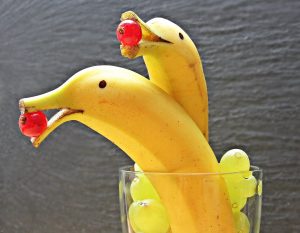 Why do fruit flies love bananas