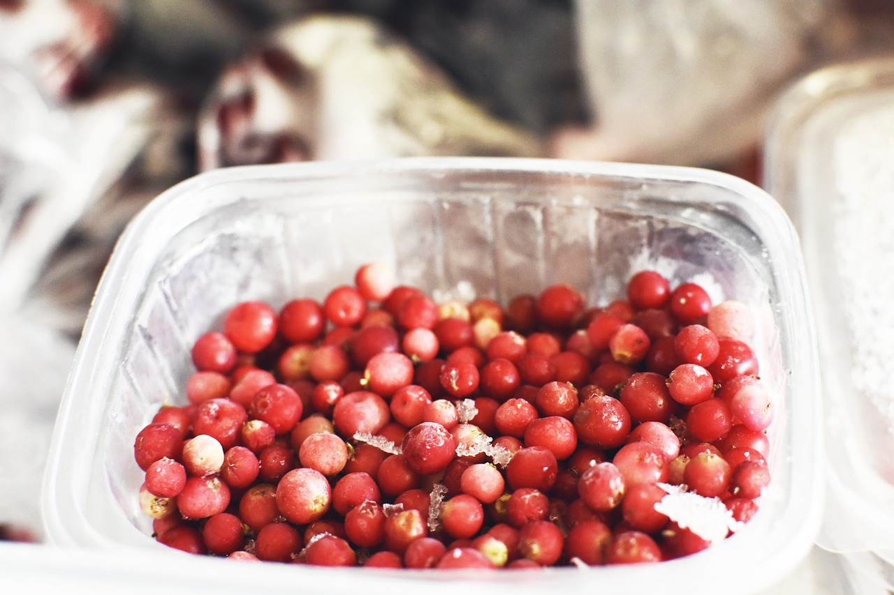 can fruit flies survive in the freezer